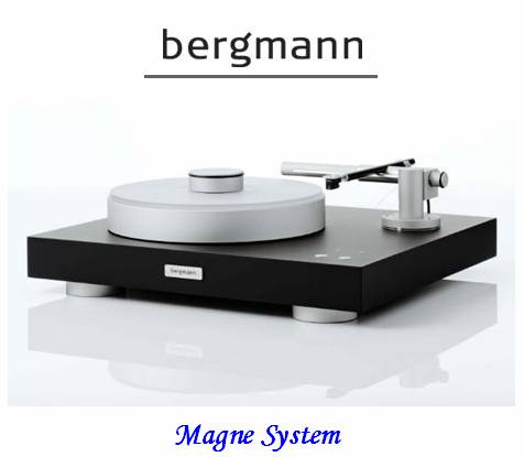 Bergmann-Magne-System